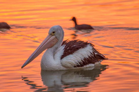 1 Murray Terrace-River Shack Rentals - Tourism Noosa 9